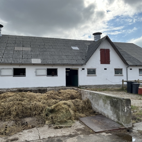 Facaderenovering på en gammel gård i Esbjerg