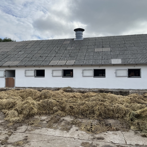 Facaderenovering på en gammel gård i Esbjerg